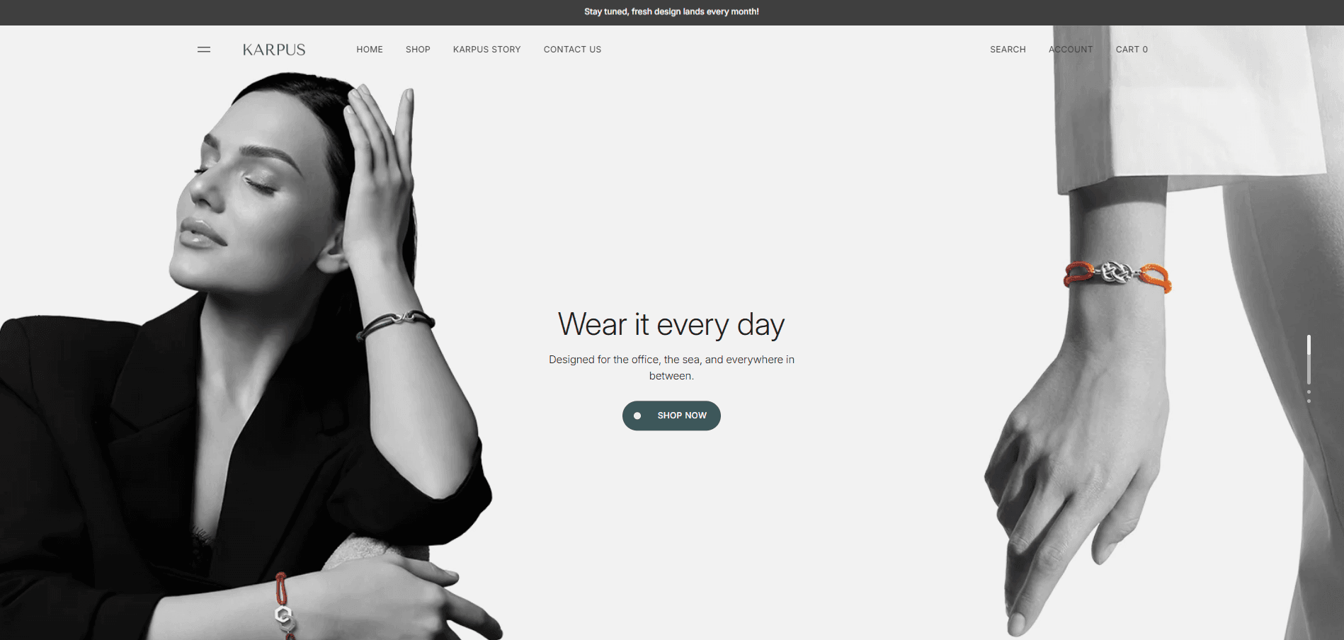 Test Project website screenshot