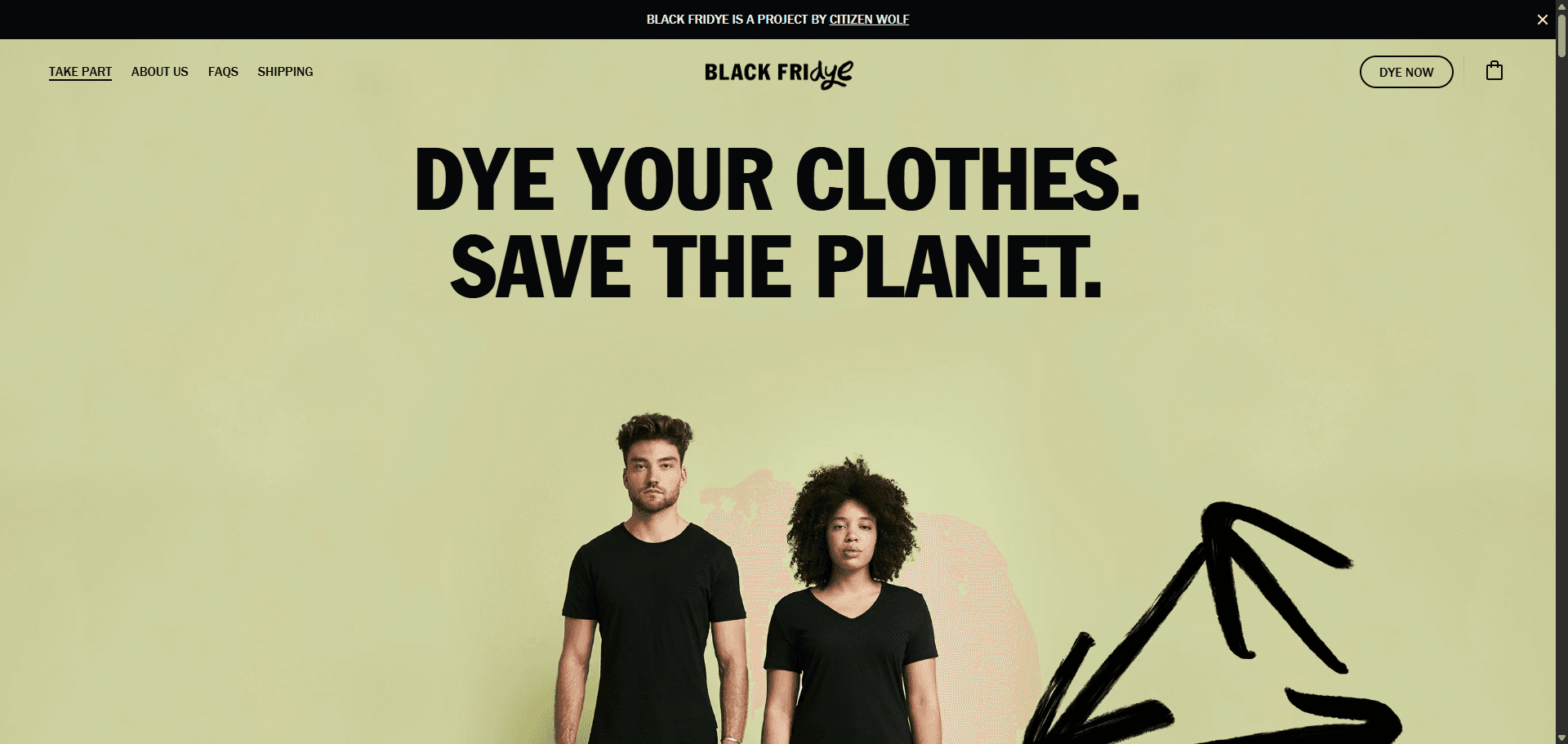 Black Fridye campaign site homepage